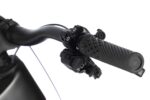 Whistle AXR C10.6 Avinox 150 Nm ebike 800Wh - immagine 5